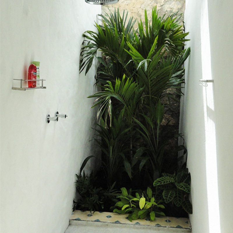 Baño copy